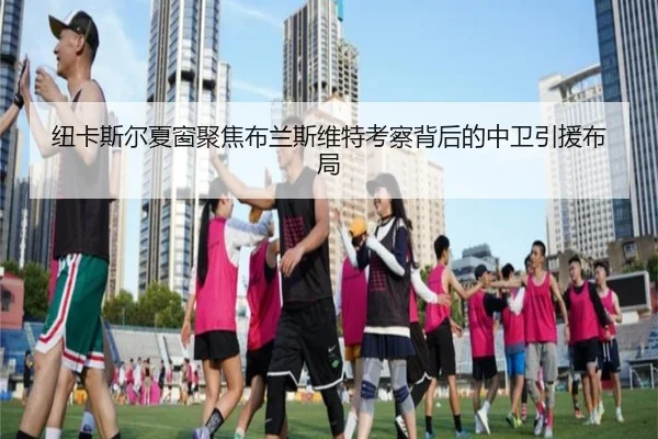 纽卡斯尔夏窗聚焦布兰斯维特考察背后的中卫引援布局